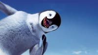 Ще з дитинства я закохалася в пінгвінів з популярного мультфільму   Мадагаскар